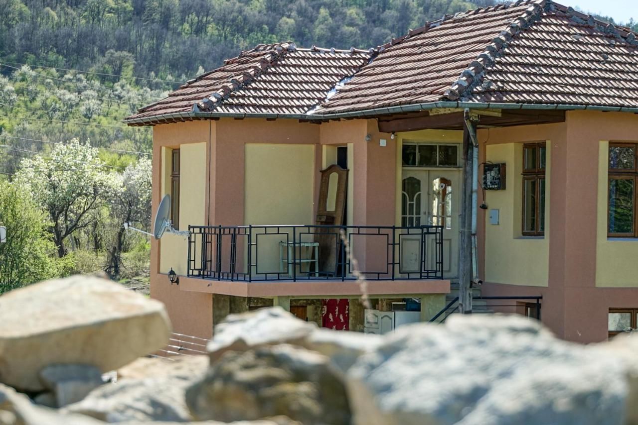 Виллы Villa M Pchelishte-28